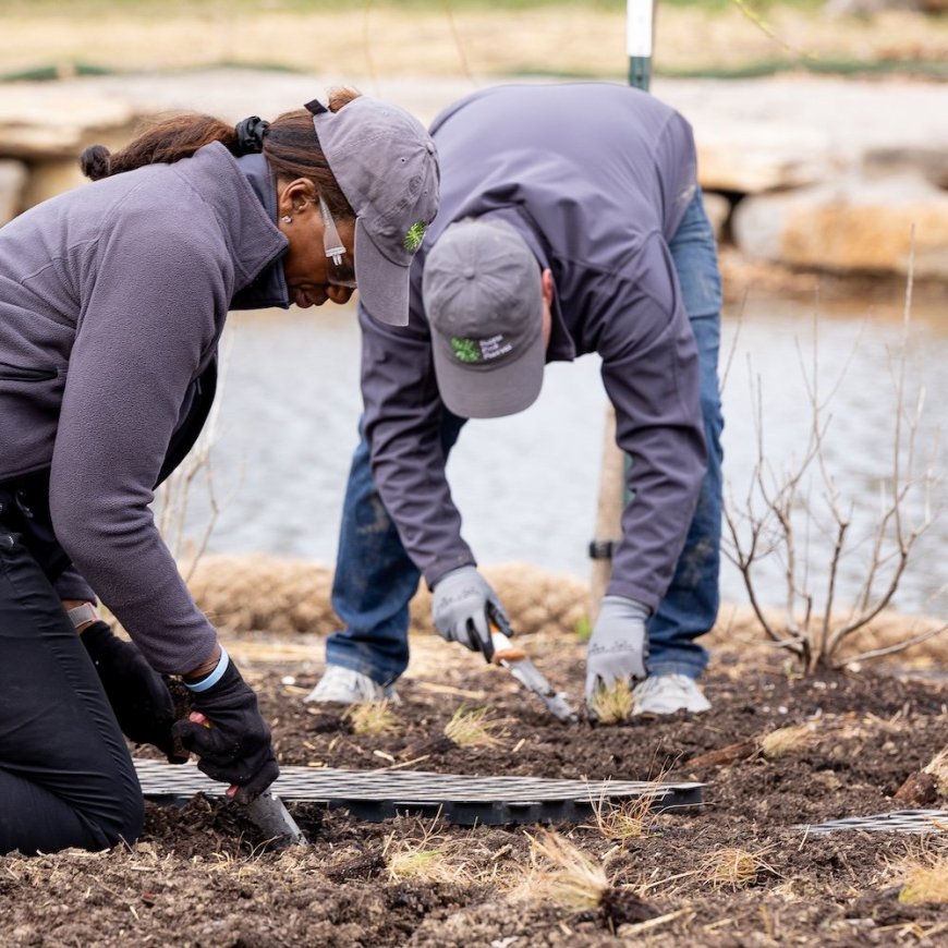 Waterways: Forest Park Forever Team Plants Over 3,400 Plants in One Morning