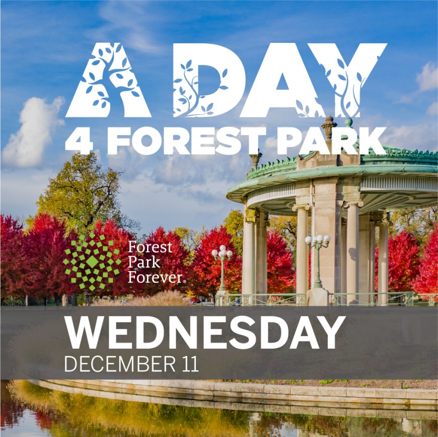 Tune in to KMOV on a Day 4 Forest Park
