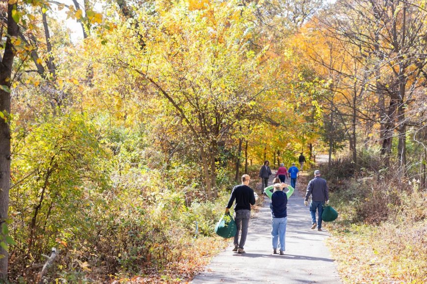 25th Annual Invasive Species Removal & Habitat Restoration Project Day
