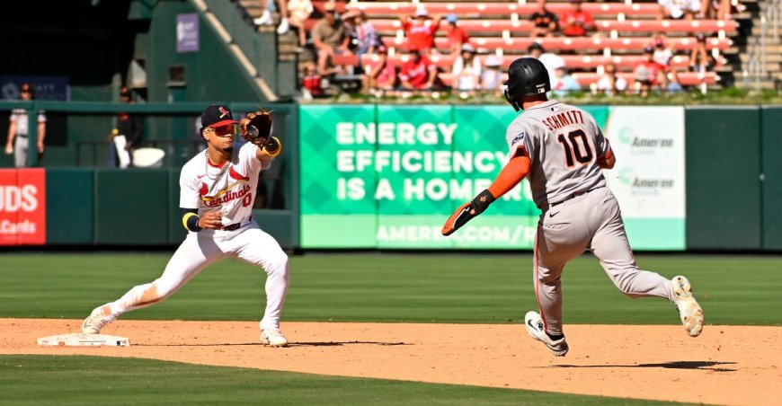 St Louis Cardinals Roster Rundown for mid-November