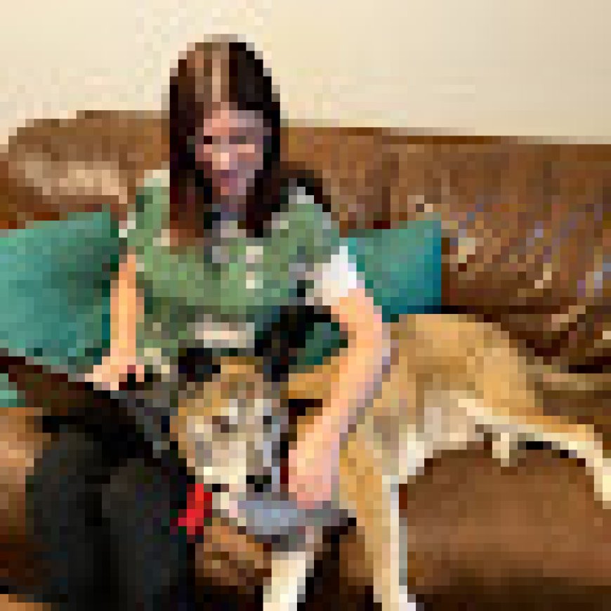 Pets of Quarantine: The Work Edition