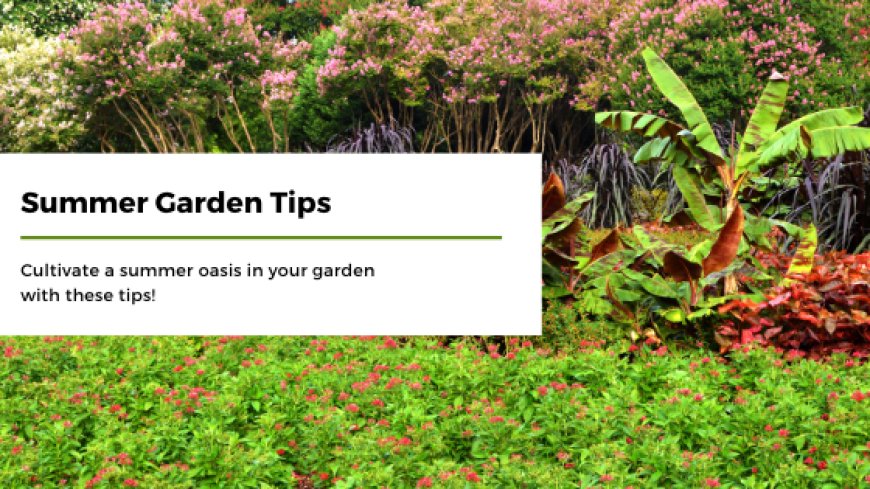 Summer Garden Tips