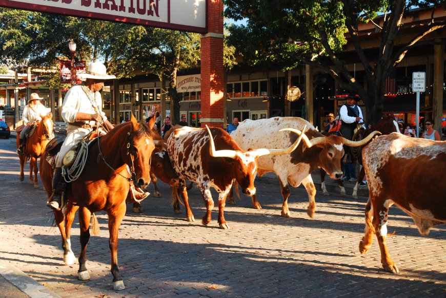 Top Ten Sights To See in Fort Worth 2023