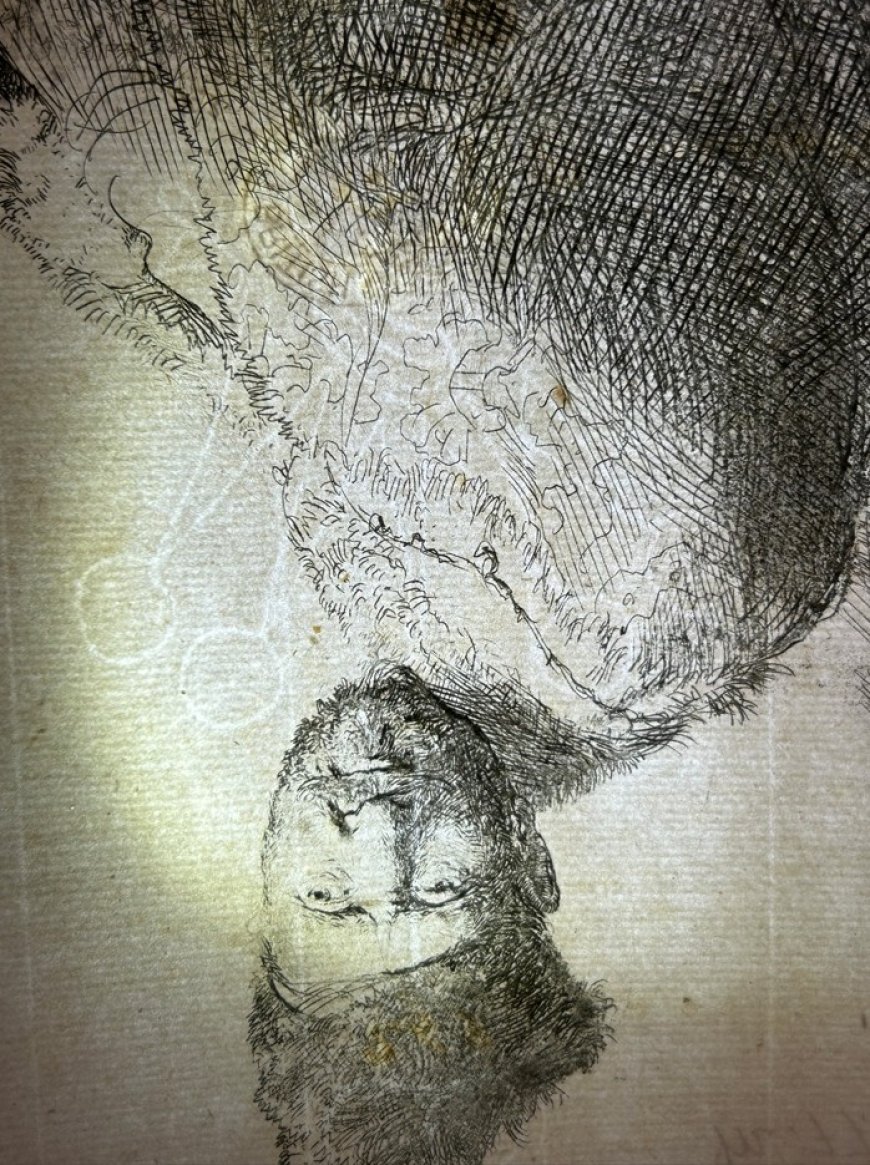 Cataloguing the DMA’s Rembrandt Prints 