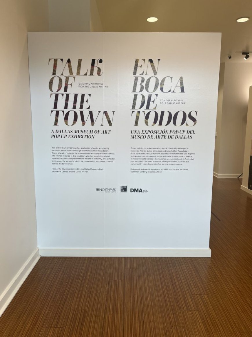 “Talk of the Town: A Dallas Museum of Art Pop-Up Exhibition Featuring Artworks from the Dallas Art Fair”