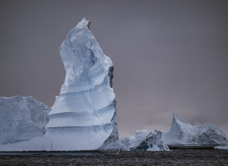 MITAL PATEL PHOTOGRAPHY