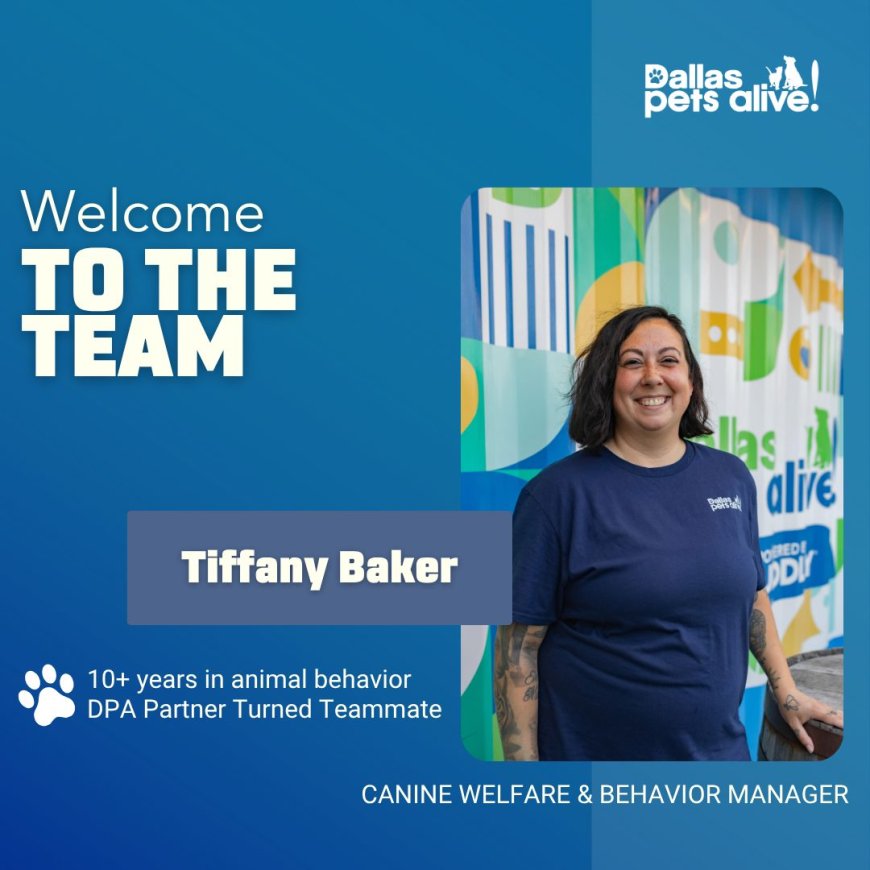 Meet The New Faces Behind Our Mission