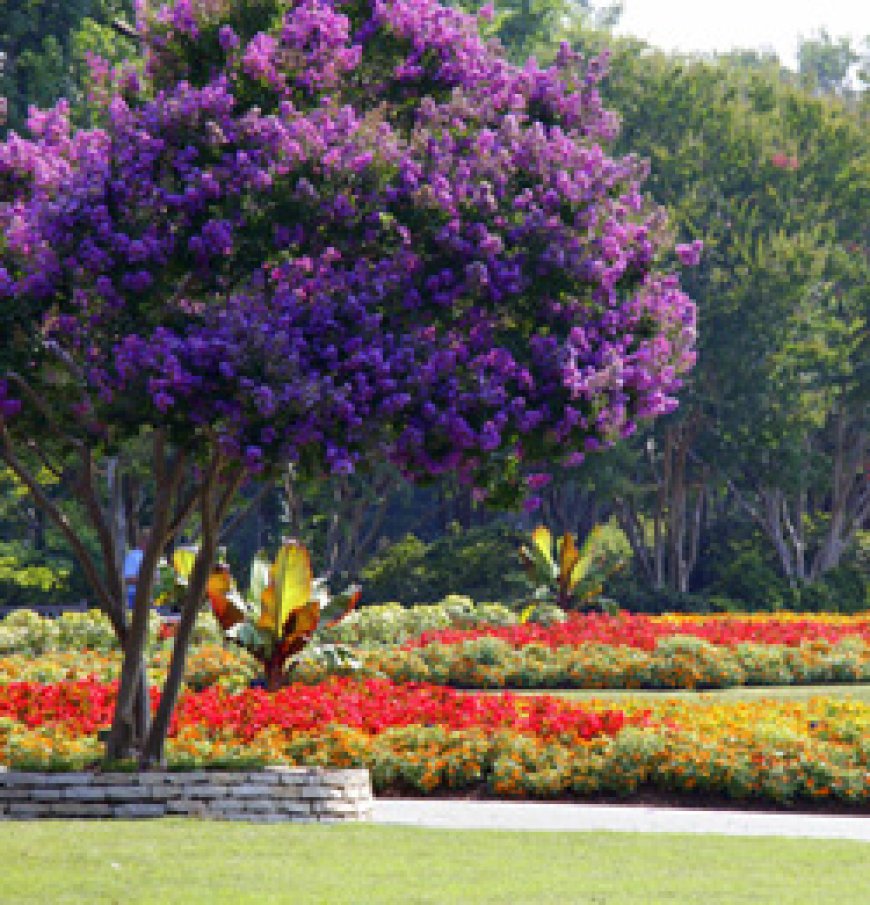 Dallas Arboretum & Botanical Garden