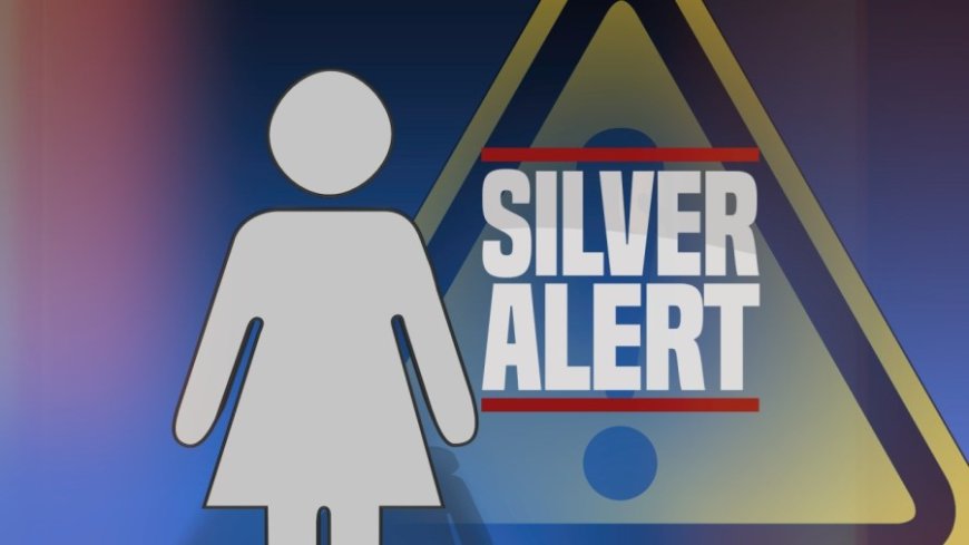 Silver Alert canceled: Missing woman with dementia found safe