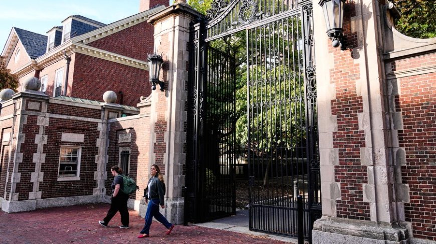 Larry Summers's Epstein ties drag Harvard back into the spotlight