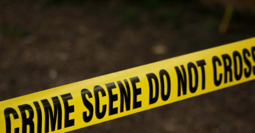 Man Dead, Children Wounded, After Arizona Shootout in Broad Daylight