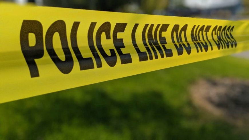 Pedestrian dies after being struck by a train in eastern Kansas