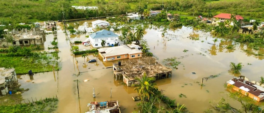 Six Dead Amid Leptospirosis Outbreak In Jamaica After Record-Setting Hurricane Melissa