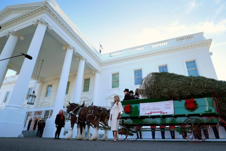 Melania Trump accepts WH Christmas tree from Michigan: ‘It will be beautiful!’