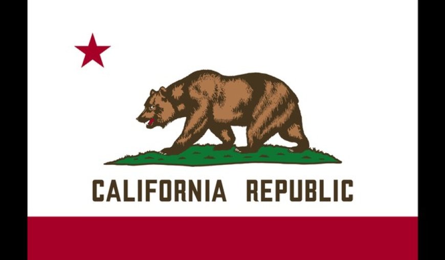 Golden State Exodus: One Taxpayer Lost Every 104 Seconds