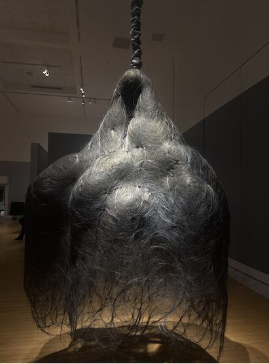 ‘How Much Can A Heart Hold’ at the Lowe Art Museum