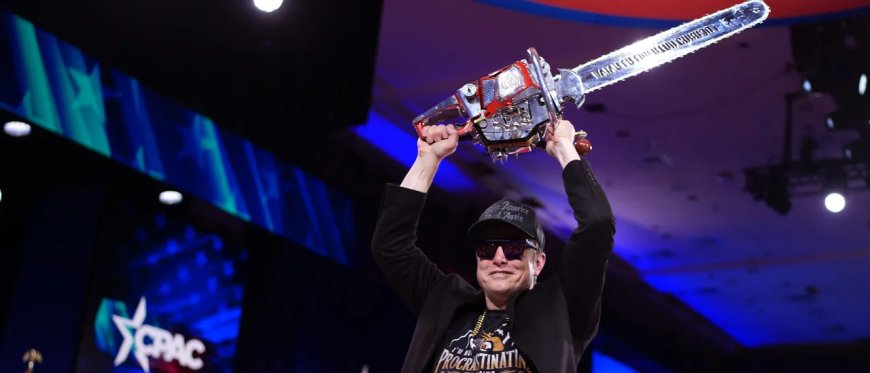 DOGE Succeeded, Just Not For The Reasons You Think