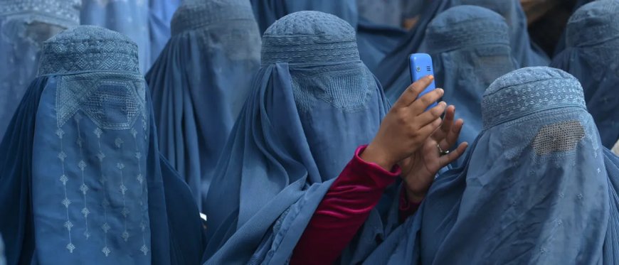 Australian Senator Wears Burqa To Parliament, Gets Suspended After Colleagues Have ‘Absolute Freak Out’