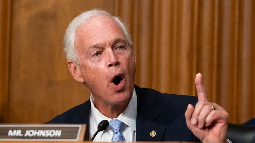 Ron Johnson shoots down tariff checks