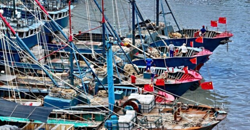 Report: Illegal Chinese Fishing Causing $800 Million in Damages in Peru