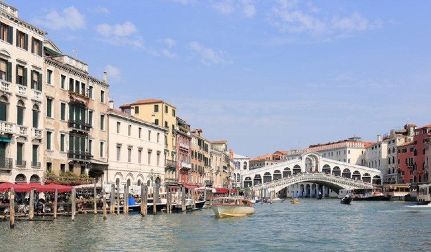 Greta Thunberg's Latest Environmental Stunt Will Make You Nauseous