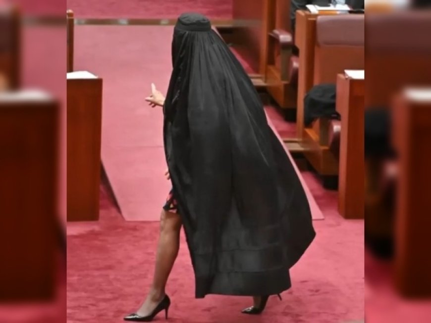 Australian Senator Pauline Hanson Censured, Barred for 'Racist' Burqa with High Heels Protest