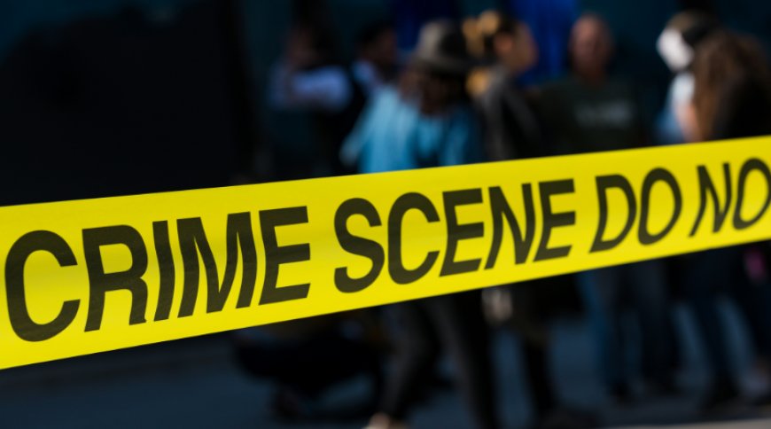 Park Cities Crime Reports Nov. 17-23