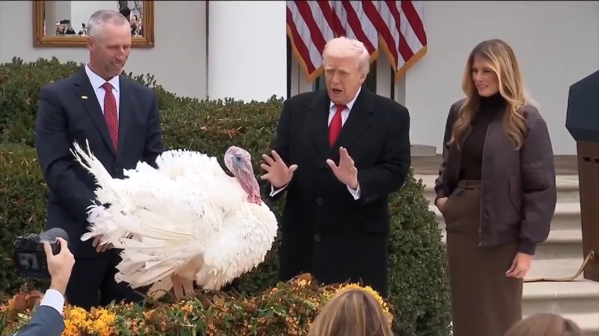 Trump spares turkeys — but not his political opponents — at annual pardoning ceremony