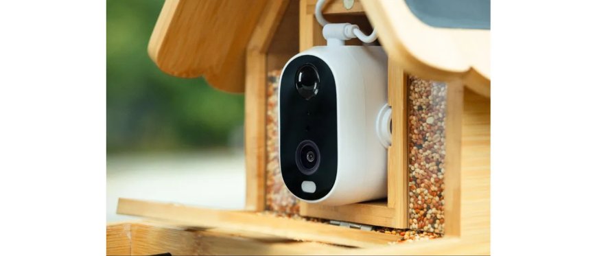 When a Bird Lands, DETIKO Listens