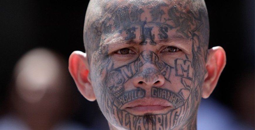 New San Antonio Sweep Nets 51 Confirmed TdA Criminals