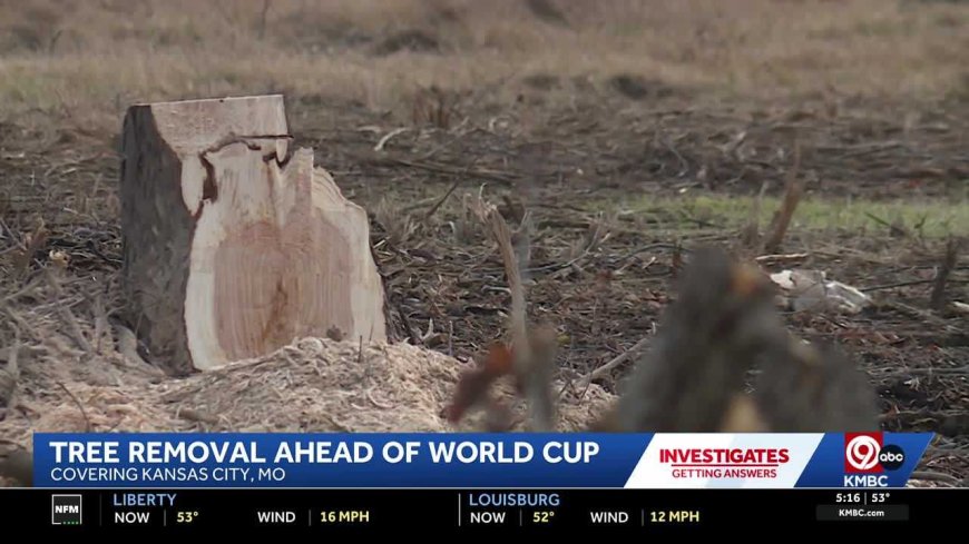 MoDOT removing trees from interstate interchanges and medians ahead of World Cup