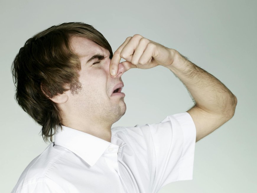 Gallup: Trust In The Media Crashes To Historic Low