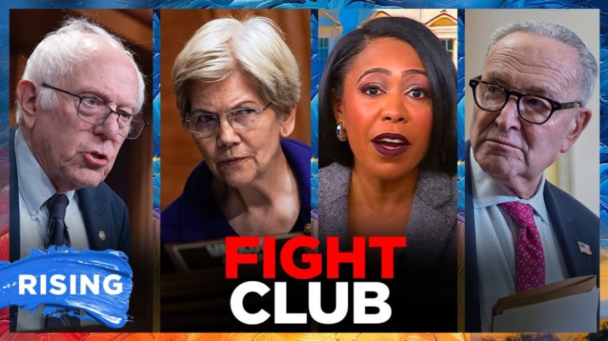 Senate Dems revolt against Schumer, form 'Fight Club' for new playbook 