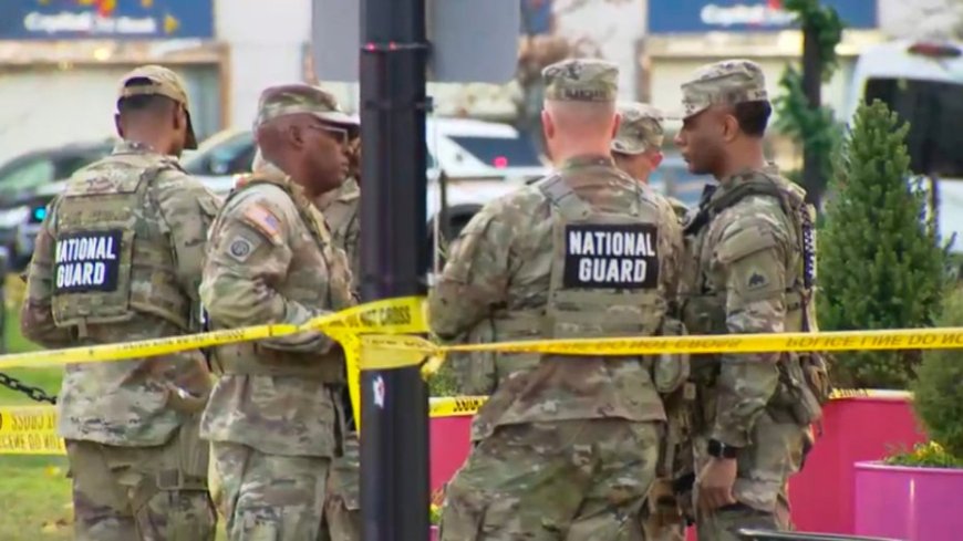 Two National Guard members shot near White House, suspect in custody: police