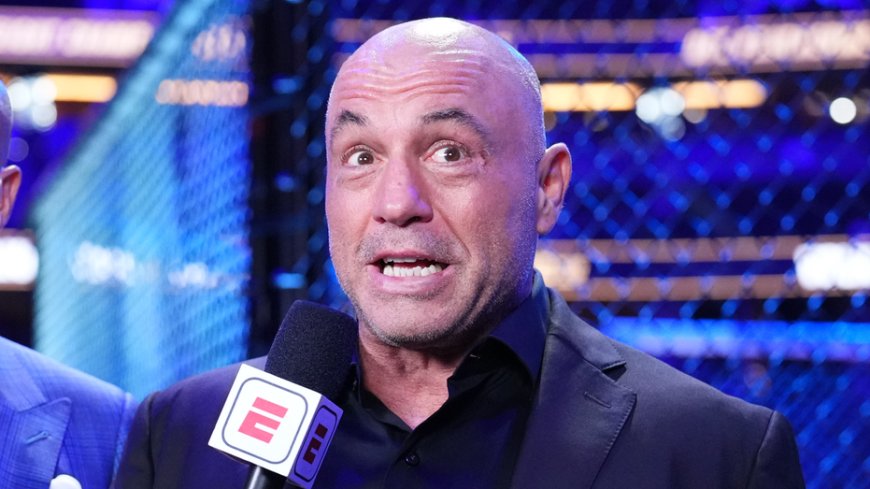 Joe Rogan thinks he'd get arrested if he hosted his show from the UK due to speech laws