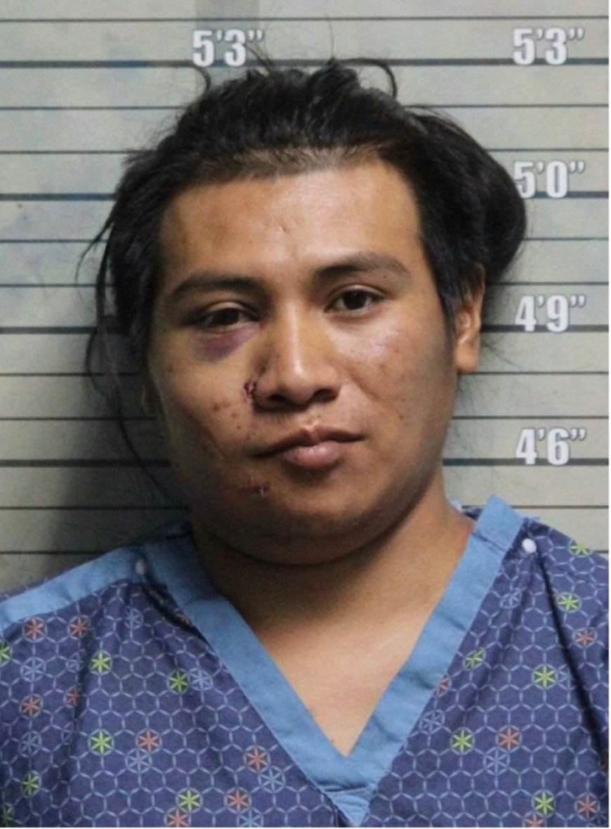 Ohio sheriff slams law enforcement agencies for releasing illegal immigrant who allegedly crashed into nurse