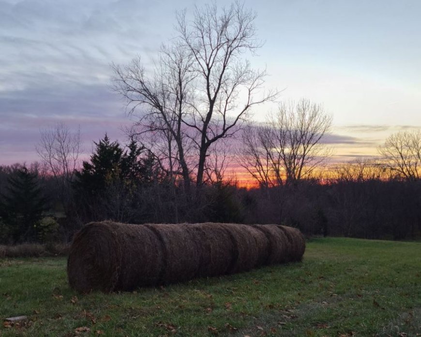 Joe's Blog: Buckle up buttercups! (FRI-11/28)