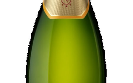 Sparkle this Holiday Season with Campo Viejo Brut Cava