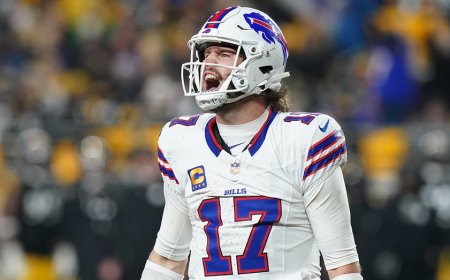 Josh Allen sets NFL record as Bills thump Steelers