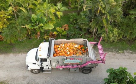 Pinecrest students transform pumpkins into compost at inaugural event