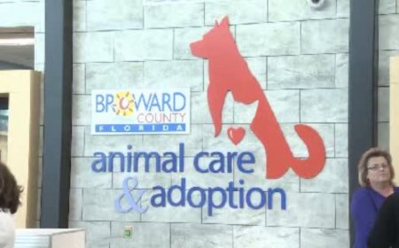 Broward Animal Care launches ‘Holiday Hope’ event with free dog and cat adoptions