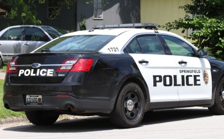 Springfield police offer tips to prevent package theft on Cyber Monday