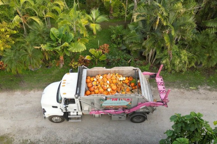 Pinecrest students transform pumpkins into compost at inaugural event