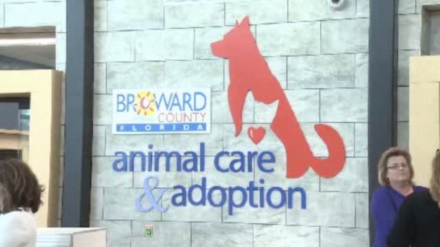 Broward Animal Care launches ‘Holiday Hope’ event with free dog and cat adoptions