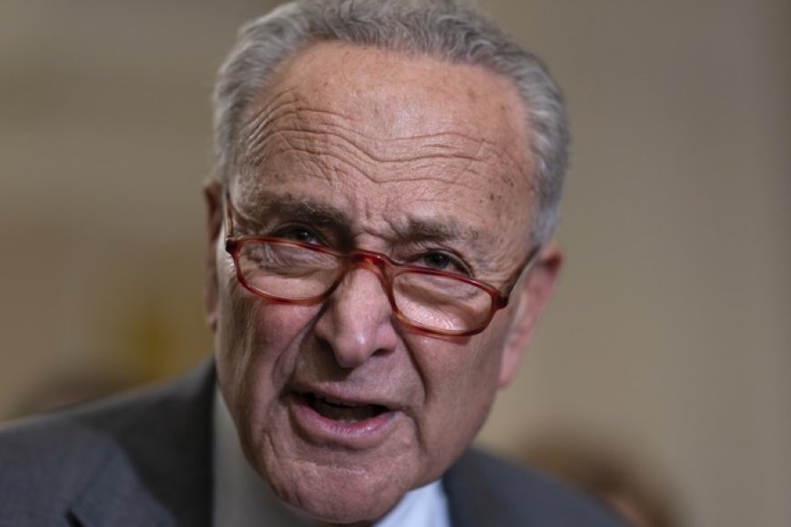 Chuck Schumer Claims ‘MAGA’ Sent Bomb Threats to His NY Offices